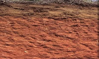 Soil Classification Image